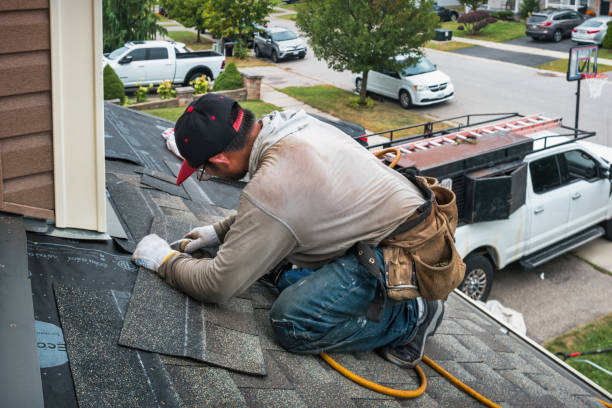 Professional Gutter Repair And Installation technician working in Denham Springs, LA